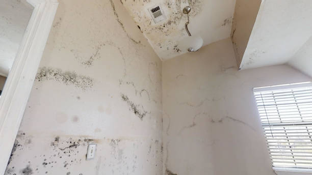 Best Indoor Air Quality Assessment  in Onset, MA