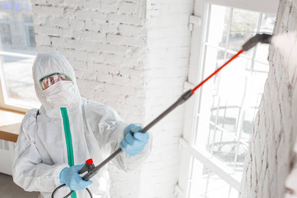 Best Asbestos and Lead Testing During Mold Inspection  in Onset, MA