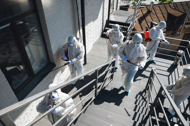 Best Mold Prevention Services  in Onset, MA