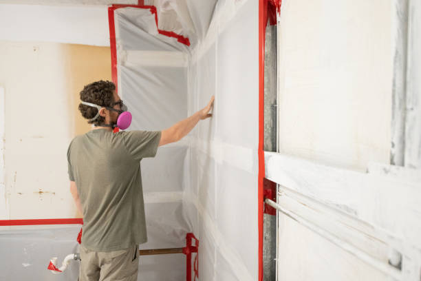 Best Mold Remediation for Healthcare Facilities  in Onset, MA