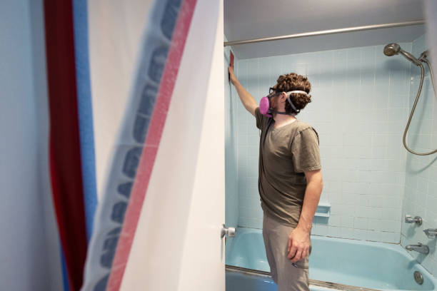 Best Industrial Mold Remediation  in Onset, MA