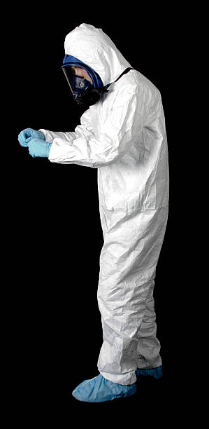  Onset, MA Mold Removal Pros